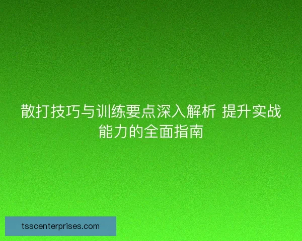 散打技巧与训练要点深入解析 提升实战能力的全面指南