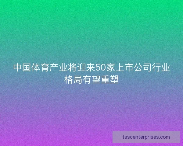 中国体育产业将迎来50家上市公司行业格局有望重塑