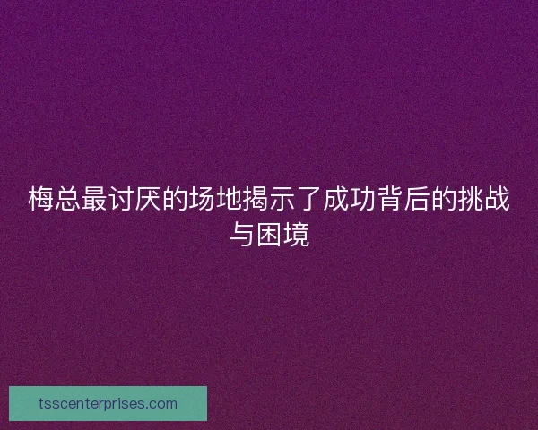 梅总最讨厌的场地揭示了成功背后的挑战与困境