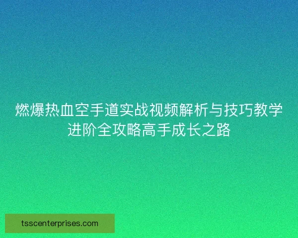 燃爆热血空手道实战视频解析与技巧教学进阶全攻略高手成长之路