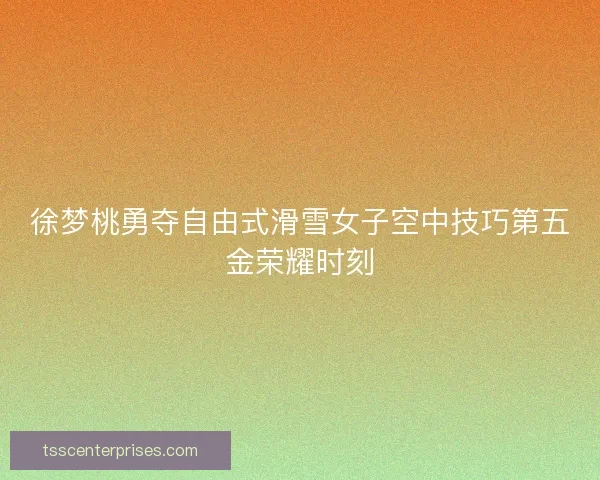 徐梦桃勇夺自由式滑雪女子空中技巧第五金荣耀时刻
